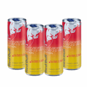RED BULL The Winter Edition JABŁKO FUJI - IMBIR 4 x 250 ml z Niemiec